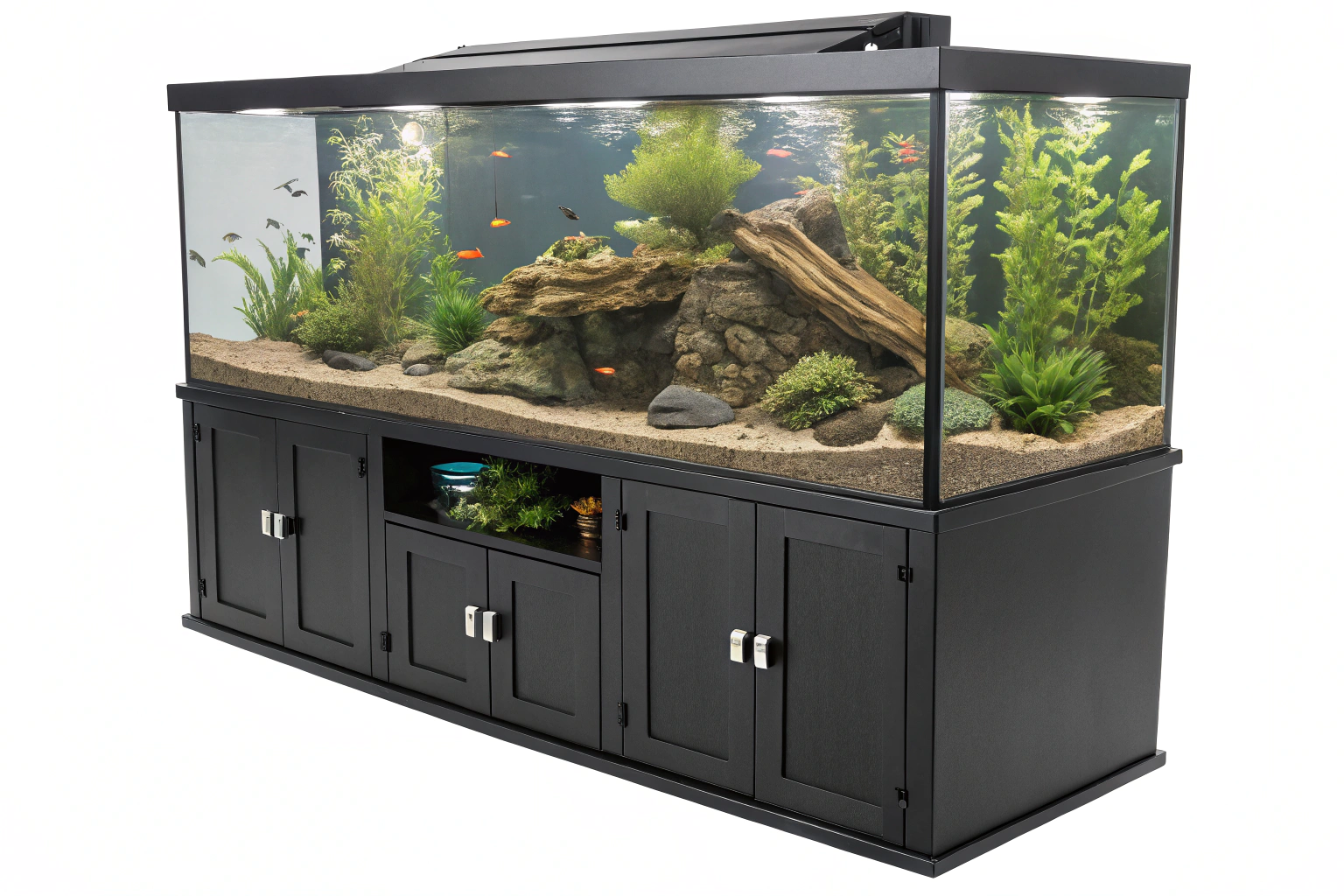 a complete oscar fish tank setup showing a 100 ga