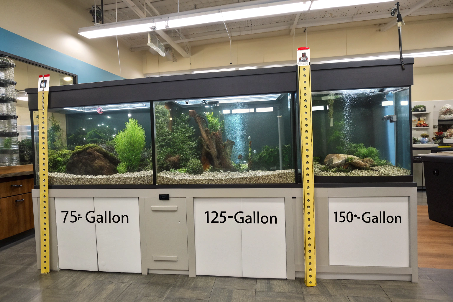 side by side comparison of different aquarium tank